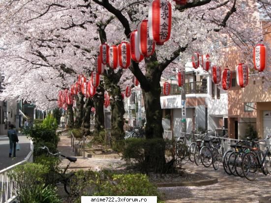 s vedem
1. orashul tokio